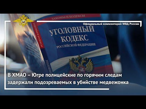 Ирина Волк: В ХМАО–Югре полицейские по горячим следам задержали подозреваемых в убийстве медвежонка смотреть онлайн