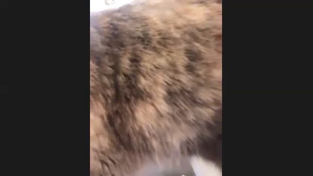 Йога 14.01.22 смотреть онлайн