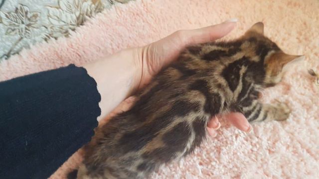 Малыш 1 мес смотреть онлайн