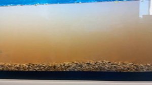 Замена грунта в аквариуме 200 литров #NIK_72