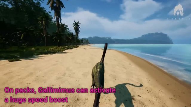 EVRIMA GUIDE - Gallimimus