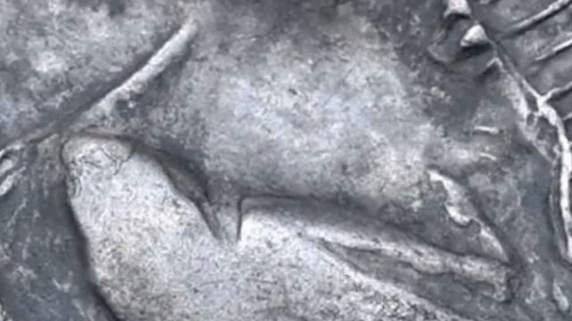 Collecting ancient coins - Sirinos and Pyxoes - a very rare and mysterious coin смотреть онлайн