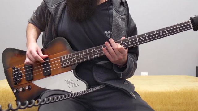 Shinedown - Cut The Cord (Bass Cover) смотреть онлайн