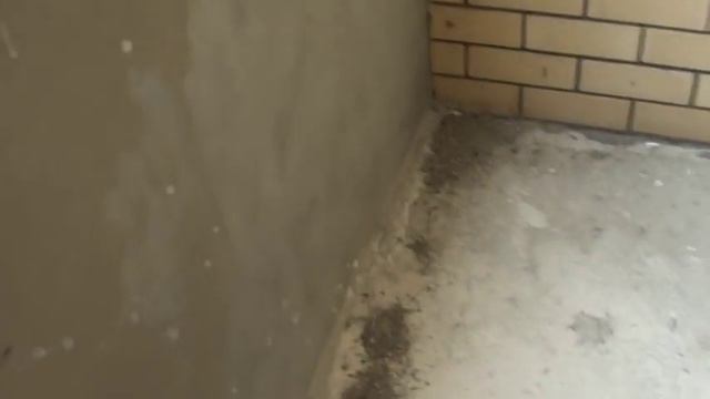 Ленина 146 смотреть онлайн