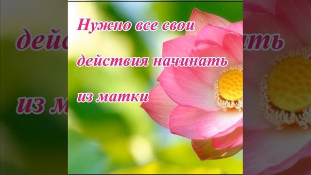 Женская медитация. смотреть онлайн