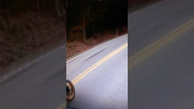 Leprechaun with pot of gold смотреть онлайн