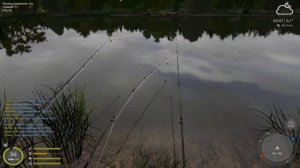 Как ловить КРУПНОГО КАРПА? Правильная ПРИКОРМКА ● Русская Рыбалка 4 | РР4