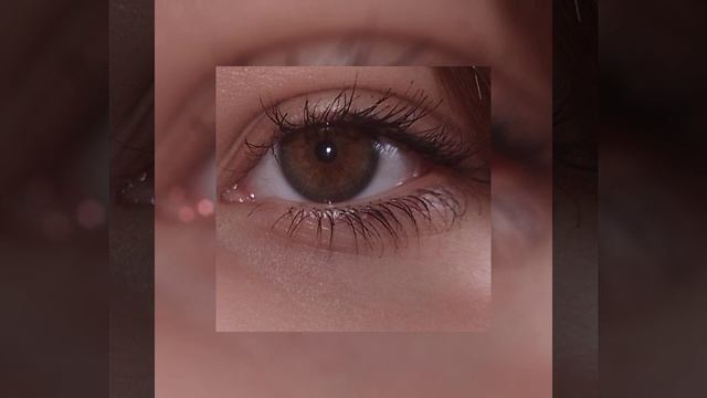 Рыцарь Король и Шут (speed Up) ?