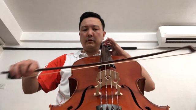 Pirastro Perpetual Edition Set - Cello Strings