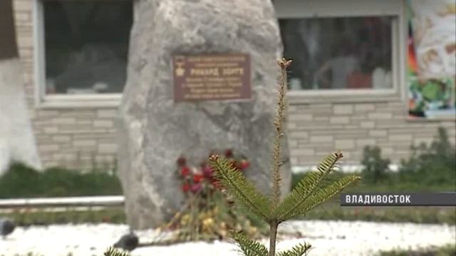 Во Владивостоке высадили саженцы пихты смотреть онлайн