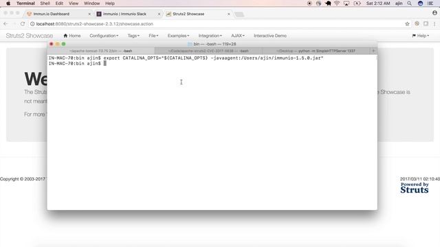Will it Pwn CVE-2017-5638: Remote Code Execution in Apache Struts 2? смотреть онлайн