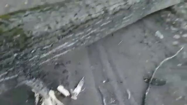 Вот так вот ветер подул смотреть онлайн