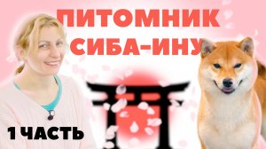 О породе Сиба-ину с заводчицей - Питомник Сиба-ину - 1 Часть