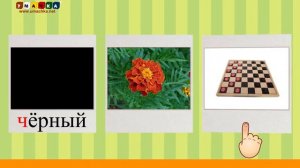 Алфавит Читать Учим с Кругляшиком Буквы и Звуки - Буква Ц