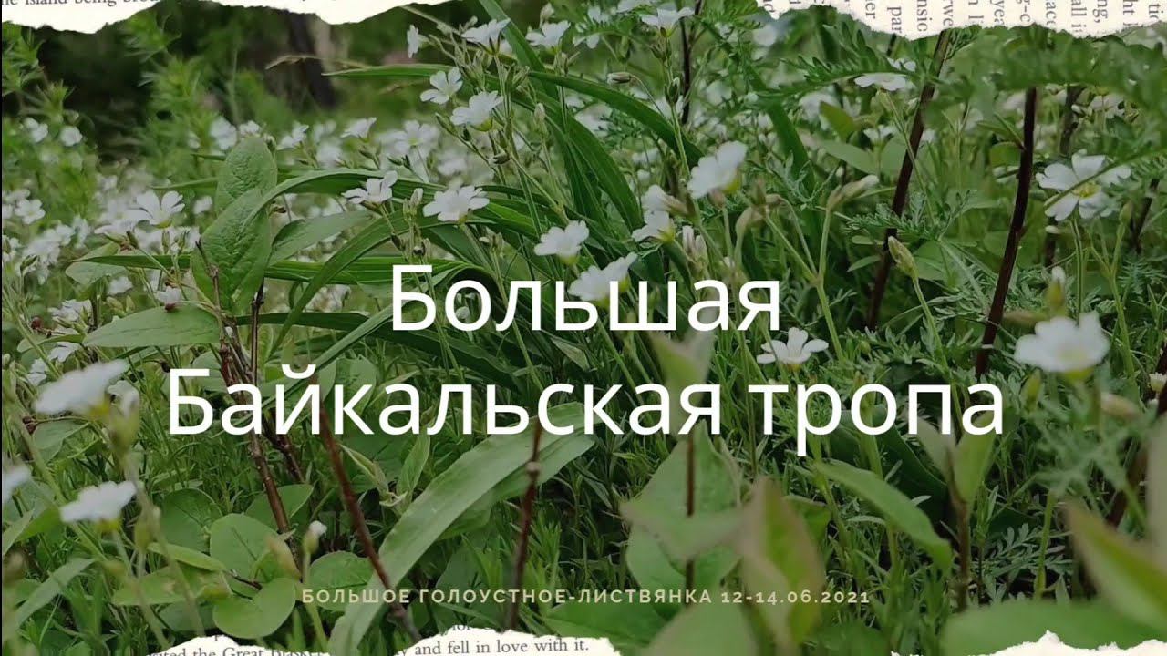 Большая Байкальская Тропа. Большое Голоустное - Листвянка. 12-14.06.2021г.