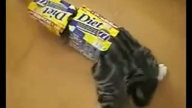 САМОЕ СМЕШНОЕ ВИДЕО часть1 ПРО ДОМАШНИХ ЖИВОТНЫХ выпуск 2 смотреть онлайн