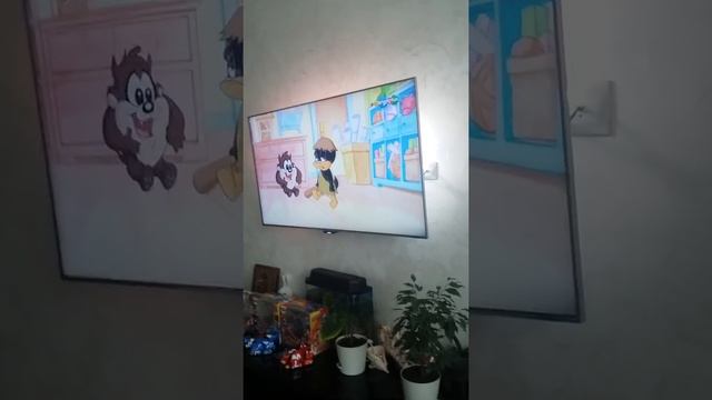 канал карусель смотреть онлайн