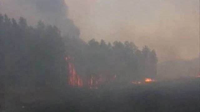 Лесные пожары, 3 мин.