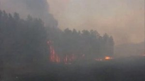 Лесные пожары, 3 мин.