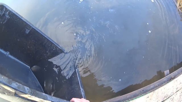 Проект "Аренда водоёма" 27 " (ДР) смотреть онлайн