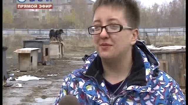 ДЕНЬ 21 10 2016_msmpeg4 смотреть онлайн