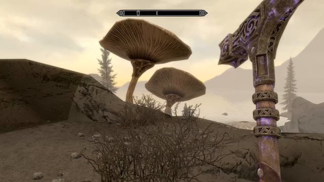 SKYRIM eps 239  Back In Solstheim