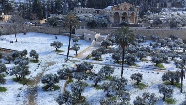 Зима в Иерусалиме Масличная гора Персональные экскурсии в Иерусалиме смотреть онлайн