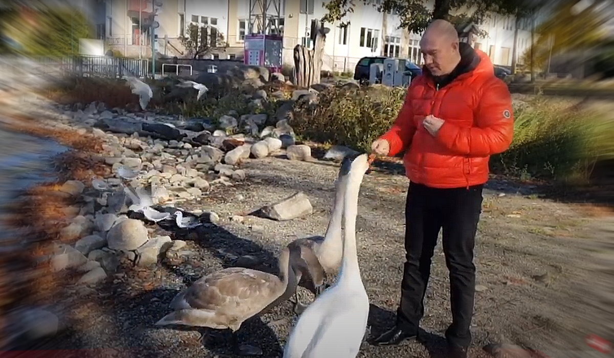 Подписывайтесь на наш канал: https://rutube.ru/channel/27329876/
Алексей Пелих - "Птица" смотреть онлайн