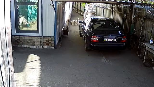 Sample4 Hiseeu CCTV 4CH 720P смотреть онлайн