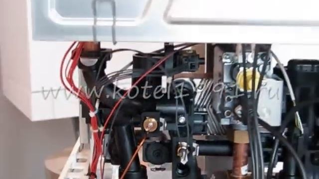 Vitopend 100 WH1D