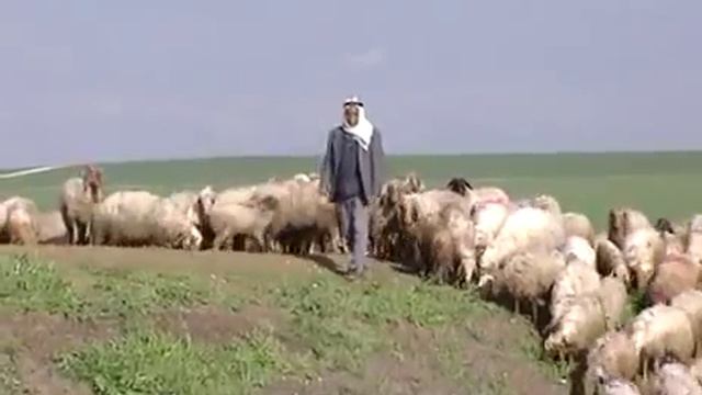 Мир Библии ч.1 — География, климат и сельское хозяйство Палестины смотреть онлайн