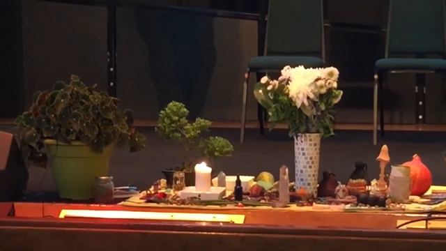 Singing Begonia - a song of a plant смотреть онлайн