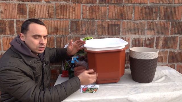 ТЕХНОЛОГИЯ ВЫРАЩИВАНИЯ ОГУРЦОВ, ТОМАТОВ, ПЕРЦА ЗИМОЙ НА ОКНЕ ( ЧАСТЬ 1) смотреть онлайн