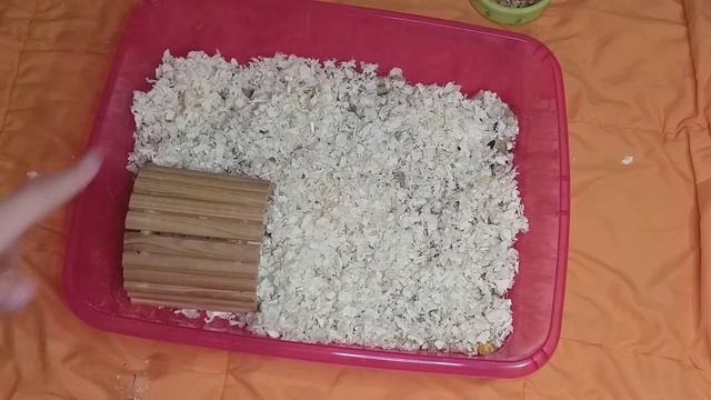 уборка в клетке у хомяка смотреть онлайн