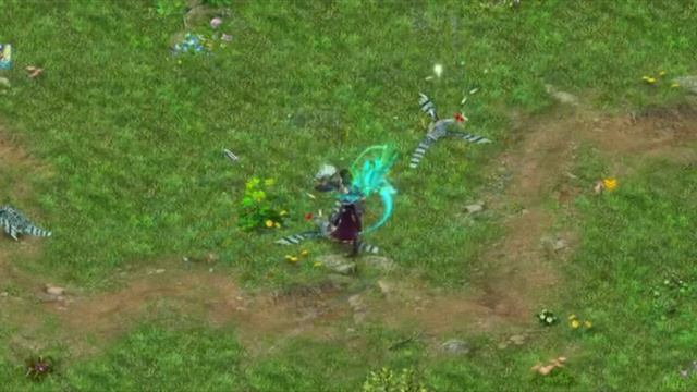 Conquer Online - New Class Windwalker Skill смотреть онлайн