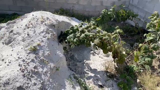 Строительные Призраки