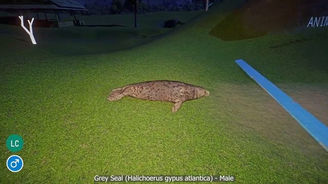 Aquatic Animals Speed Races at MIDNIGHT all males in Planet Zoo included Flamingo, Seal, Bear etc смотреть онлайн