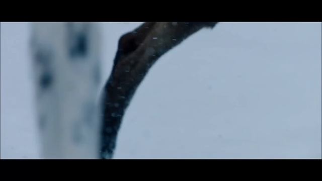 Zhi Vago - Celebrate The Love