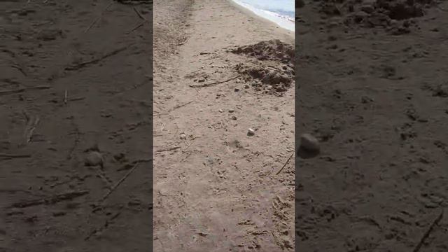 Энхалук июнь 2020 смотреть онлайн