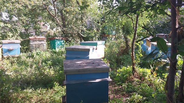 1000008779.mp4. подготовка к зиме смотреть онлайн