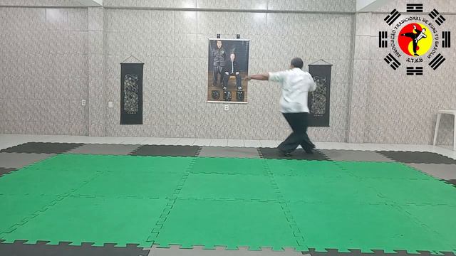 TAO LU TAM TUI, FORMA BÁSICA DO ESTILO LOUVA A DEUS SETE ESTRELAS, LINHAGEM GRÃO MESTRE LI WING KAY смотреть онлайн