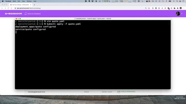 Product Tour: Service Catalog by Ambassador Labs смотреть онлайн