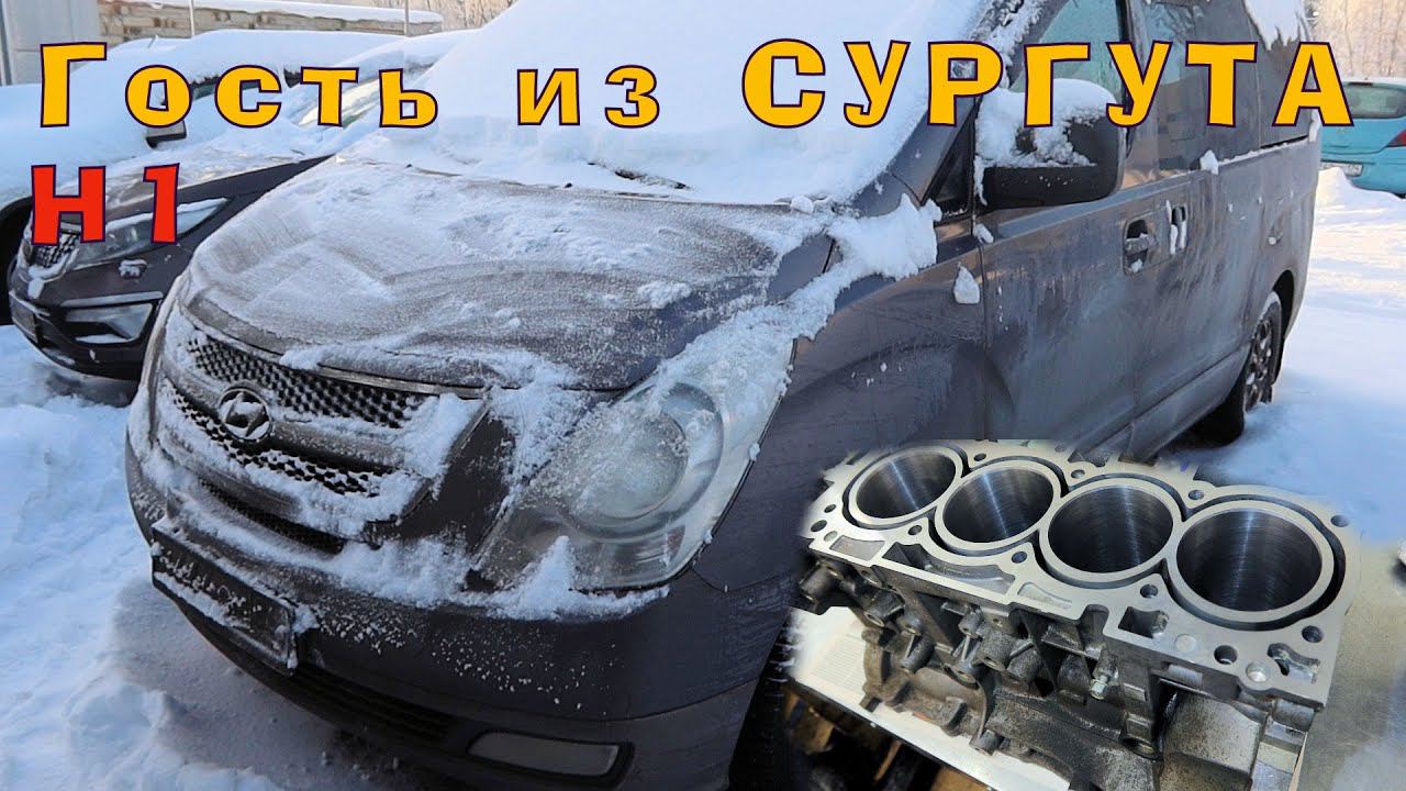 H1: Гость из Сургута! смотреть онлайн