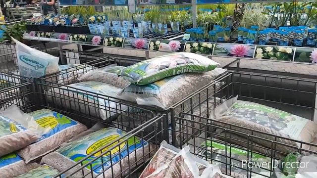 Цветочный магазин. Райский сад и динозавры. Первая часть. смотреть онлайн