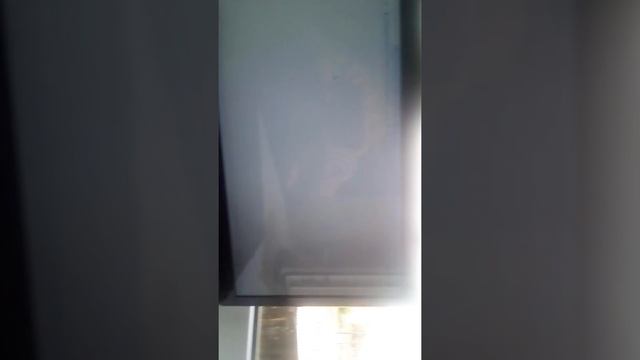 Как Скачать мафию 2 на ПК смотреть онлайн