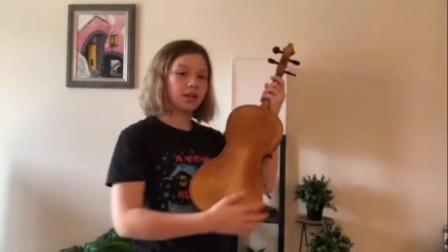 Музыкальные инструменты. Скрипка смотреть онлайн