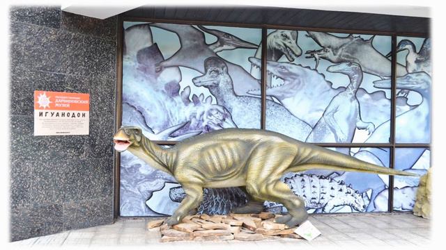 Культ-поход в Дарвиновский музей смотреть онлайн