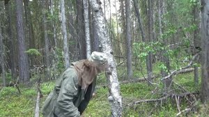 Алга на Бунгало !