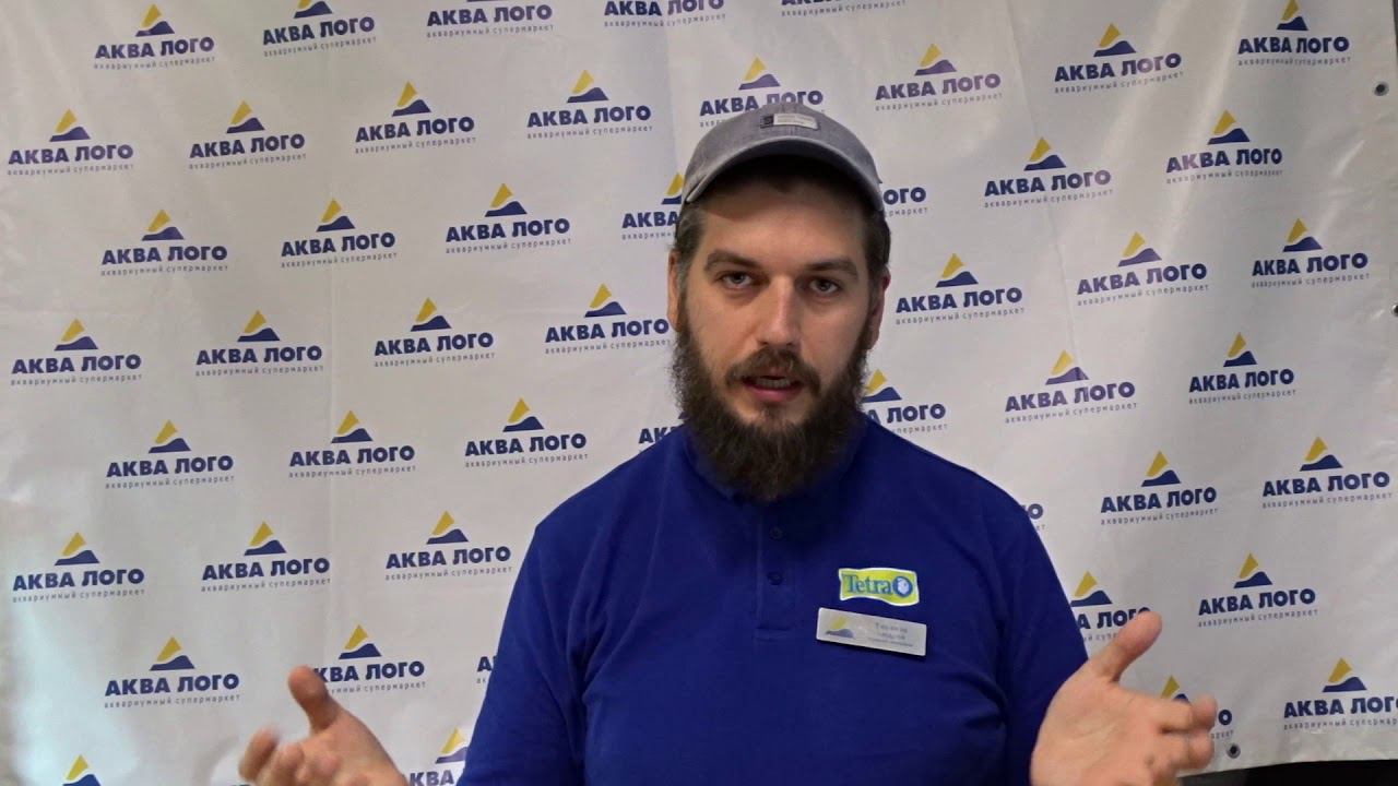 Как бороться с бородой в аквариуме смотреть онлайн