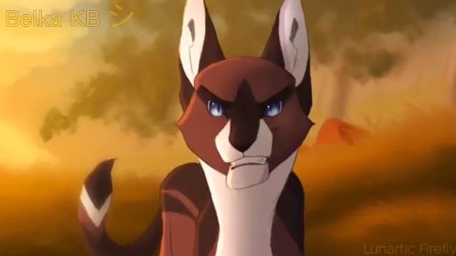 Нас не догонят {Листвичка,Ежевика и Кленовница} [Клип] смотреть онлайн